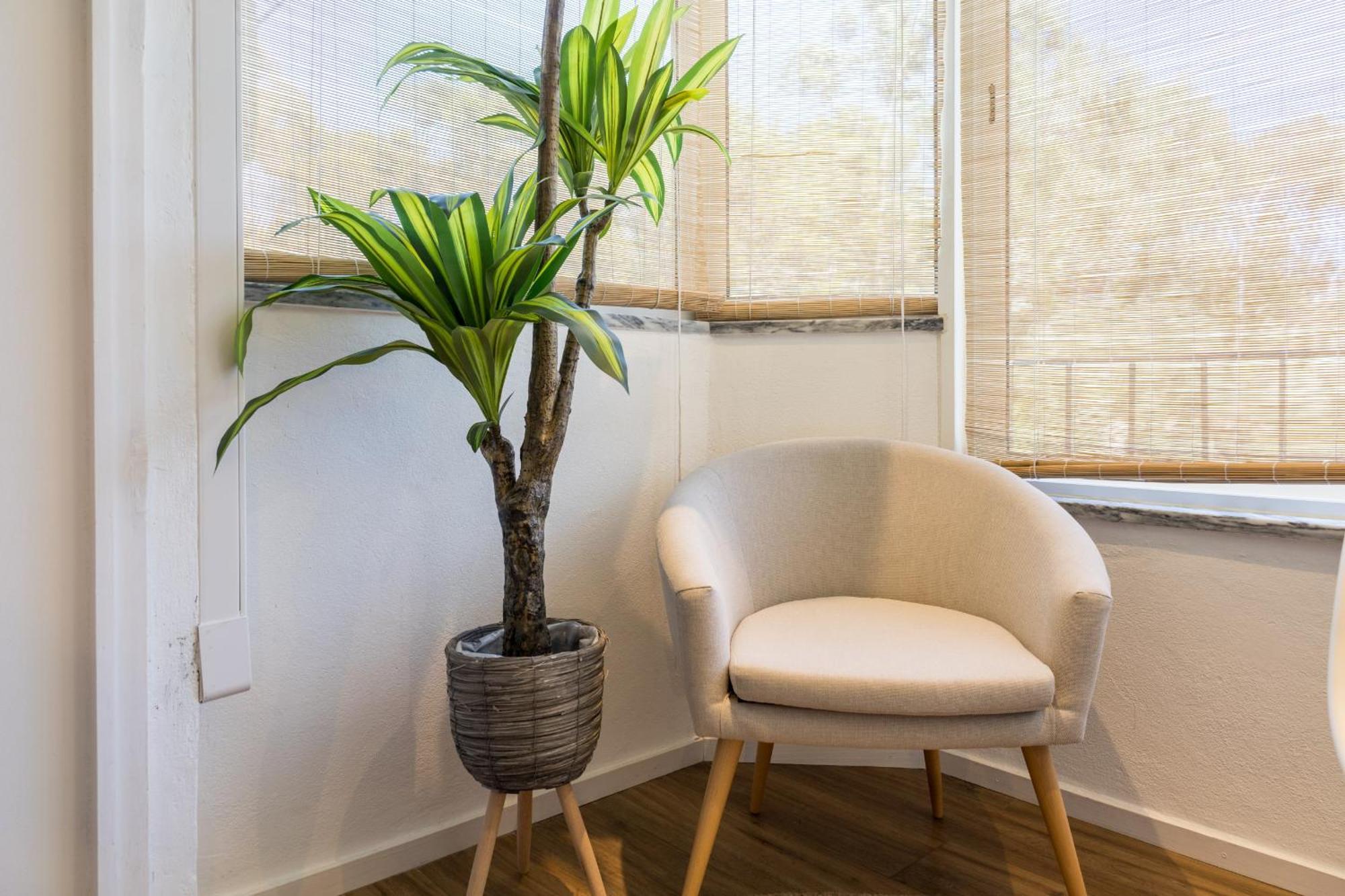 Beguest Cascais Cozy Studio Εξωτερικό φωτογραφία